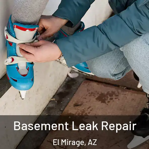  Basement Leak Repair El Mirage, AZ