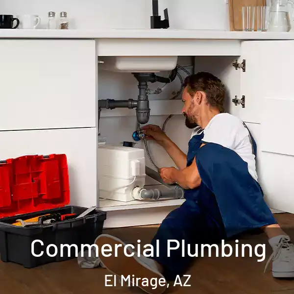  Commercial Plumbing El Mirage, AZ
