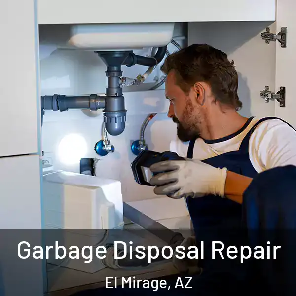  Garbage Disposal Repair El Mirage, AZ