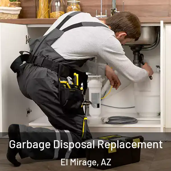  Garbage Disposal Replacement El Mirage, AZ