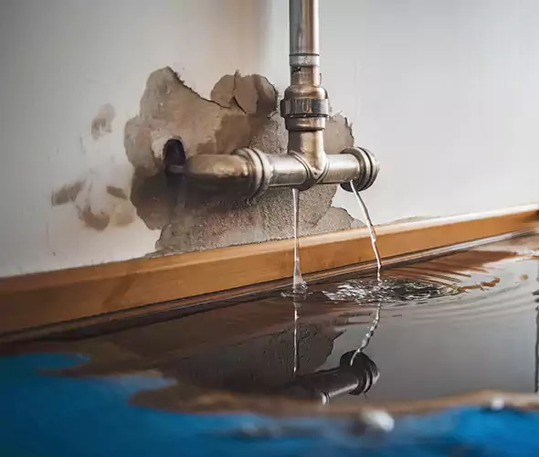 Professional Water Damage Restoration Experts in El Mirage, AZ — Fast, Reliable & Certified