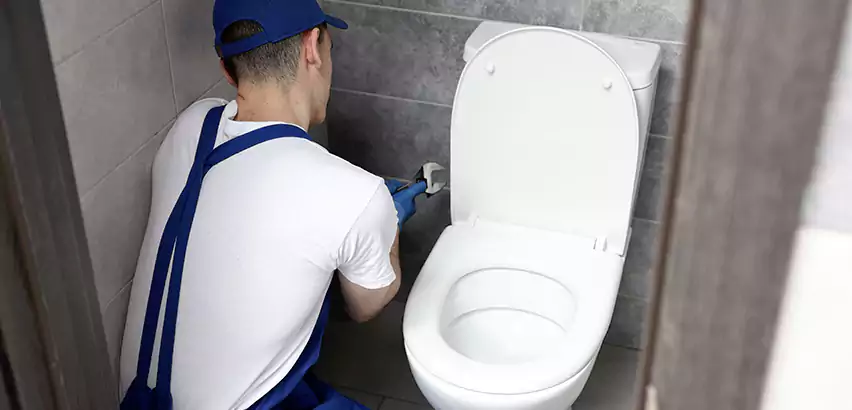 Toilet Lid Replacement in El Mirage