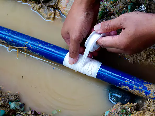  Why Choose El Mirage Plumbing Pro for Leak Detection in El Mirage, AZ?]