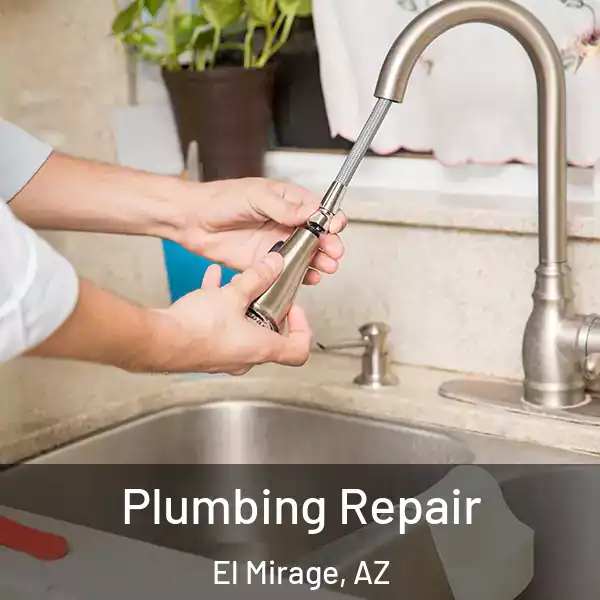  Plumbing Repair El Mirage, AZ