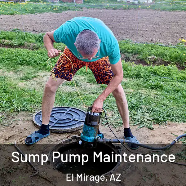  Sump Pump Maintenance El Mirage, AZ