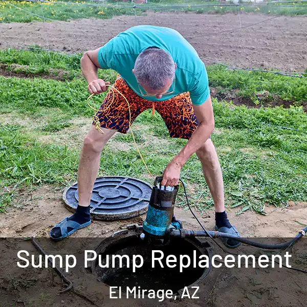  Sump Pump Replacement El Mirage, AZ