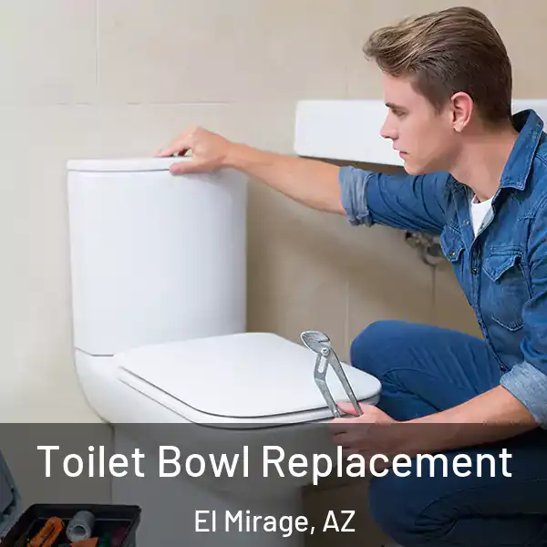  Toilet Bowl Replacement El Mirage, AZ