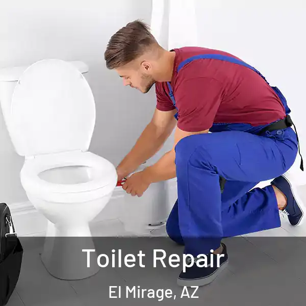  Toilet Repair El Mirage, AZ