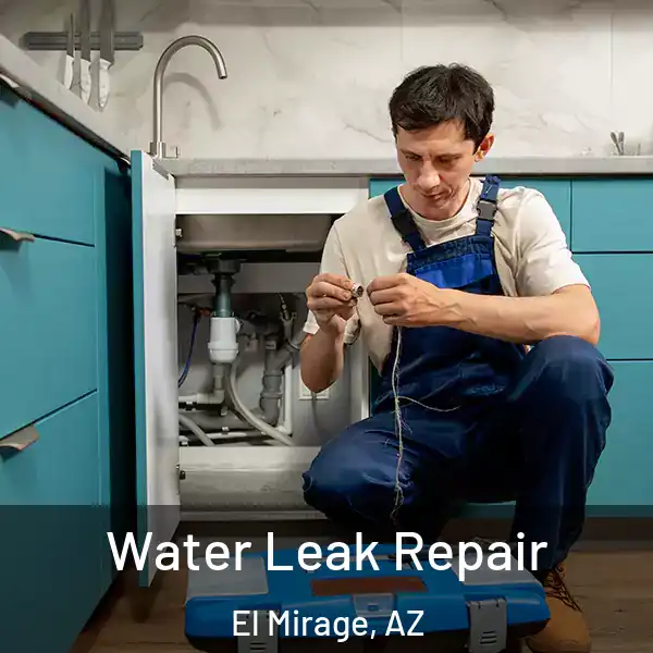  Water Leak Repair El Mirage, AZ